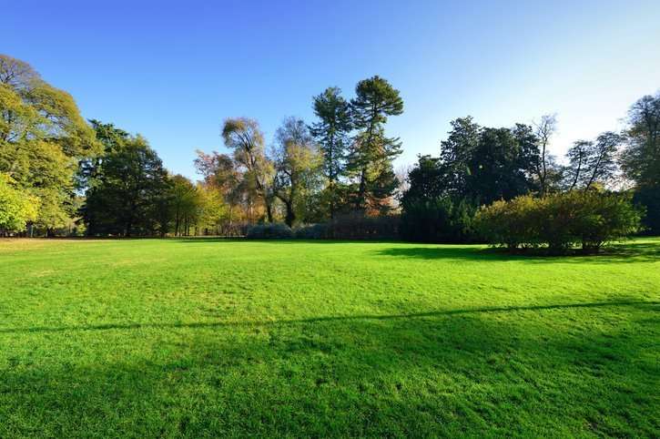 A Palaiseau «Le Monde comme jardin»