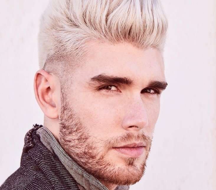 Colton Dixon se produira à l39éclairage national des arbres de